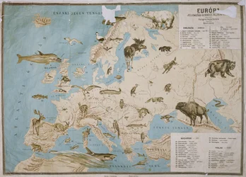 Mapa de animais na Europa, (gravura a cores)