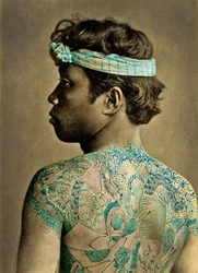Retrato de um homem com tatuagens tradicionais japonesas de Irezumi, c.1880 (foto colorida de albumina)