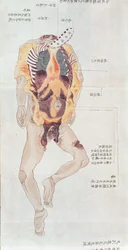 Um corpo estripado da dissecação de uma vítima de tortura de 1796, de um makimono de um médico de Midori, 1842