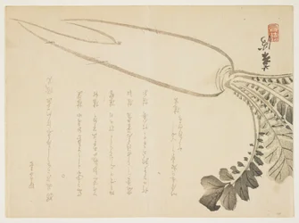 Rabanete Daikon, janeiro de 1864 (impressão em xilogravura a cores)