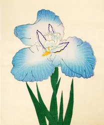 Irojiman, nº 80, 1890 (impressão em xilogravura a cores)