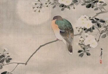 Pintura em Seda Japonesa de um Pombo de Madeira