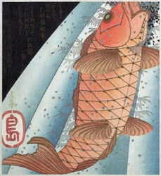 Koi Carp; pub. C. 1820