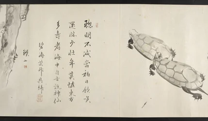 Ou. 14872, f.36, Duas tartarugas, de Yoshida Seisai (rolo de mão)