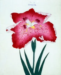 Senjo-Para, nº 5, 1898