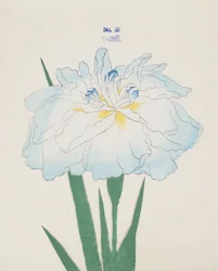 U-Chu, nº 25, 1898