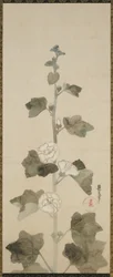 Hollyhocks brancos, período Edo, 1615-1868 (tinta, tonalidade e ouro no papel)