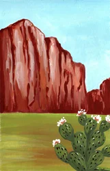 Floração dos cactos do Sudoeste