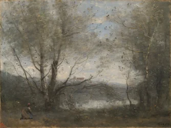 Um lago visto através das árvores