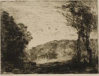 Campo Arborizado