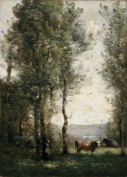 Paisagem arborizada com vacas em uma clareira