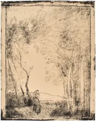 Jovem mãe à entrada de um bosque