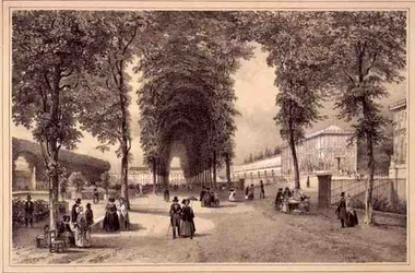 A View of the Jardins des Plantes, publicado por Auguste Bry (litho)