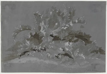 Study of Weeds, 1800-1850.