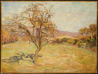 Paisagem, 1890