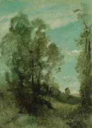 Paisagem arbórea (manhã)