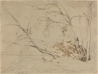 Tufo de árvores na Civita Castellana, 1826.