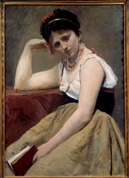 Leitura interrompida