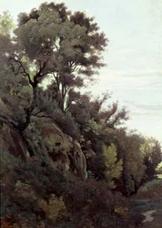 Marino - Árvores e Rochas