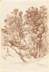 Lembrança do Vale Sole Lembrança do Vale Sole, 1871.