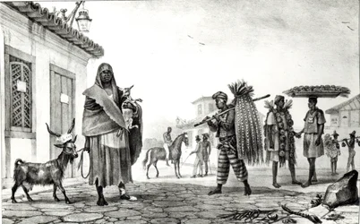 Casa para alugar, cavalo e cabra para venda, de &39;pitoresca e histórica viagem no Brasil&39;,