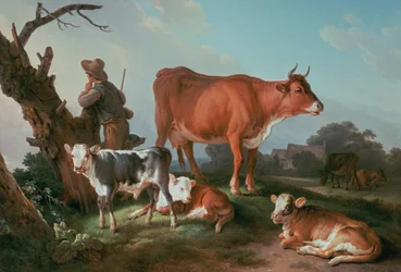 Cena pastoral com um vaqueiro