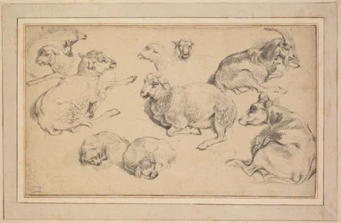 Folha de estudos com ovelhas, cabras e cães, c. 1780.