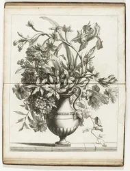 Bloemenvaas
Vários livros de vasos florais feitos de Natural (título da série)