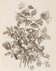 Placa de "O livro de todos os tipos de flores da natureza"