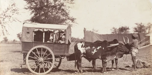 [Campbell Twins in a Shigram, Governor General