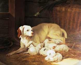 Filhotes de cadela, detalhe de Lise et ses petits, de Jean-Baptiste Oudry (1686-1755), França