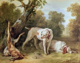 Cão e lebre