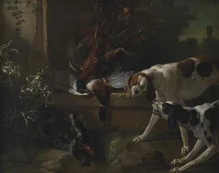 Cães com Aves Selvagens e Caça