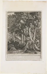 O Dragão de Muitas Cabeças, Fable XII, c. 1753-1755