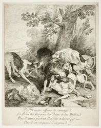 O lobo na baía