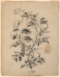 Desenho, Ramo de uma árvore fantástica, 1775-1800