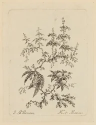 Flor Fantástica