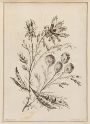 Ramo de Flor