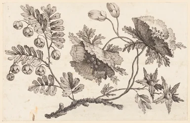 Ramo de Flores, da "Coleção de Flores Chinesas"