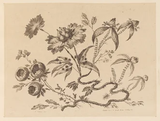 Flower Boughs, de "Recueil de Differentes Fleurs de Fantaisie Dans le Goût Chinois"