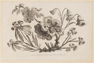 Ramos de Flores, de "Recueil de Fleurs de Chinois"