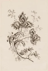 Ramo de Flor, de "Fleurs Persanes"