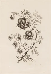Ramo de Flor, de "Fleurs Persanes"