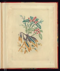 Desenho Ornamental com Pequenas Flores Vermelhas e Bagas, da Nova Suíte de Cadernos de Flores Naturais para Uso de Desenhistas e Pintores, No.1