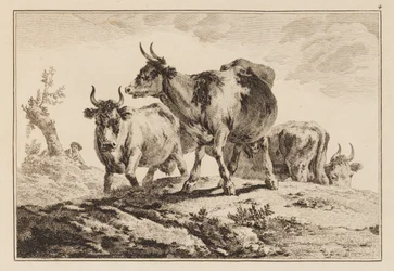 Placa 4, do "Caderno de Seis Folhas de Bois e Vacas"