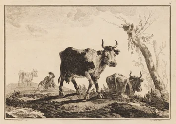 Placa 5, "Caderno de seis folhas de bois e vacas"