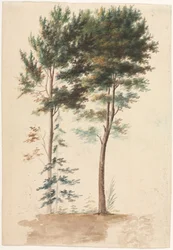 Árvores, anos 1700.