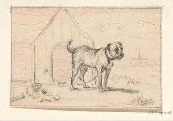 Cão com trela, de pé diante da sua casota