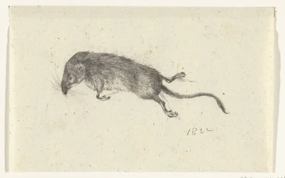 rato morto