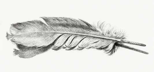 Pena
